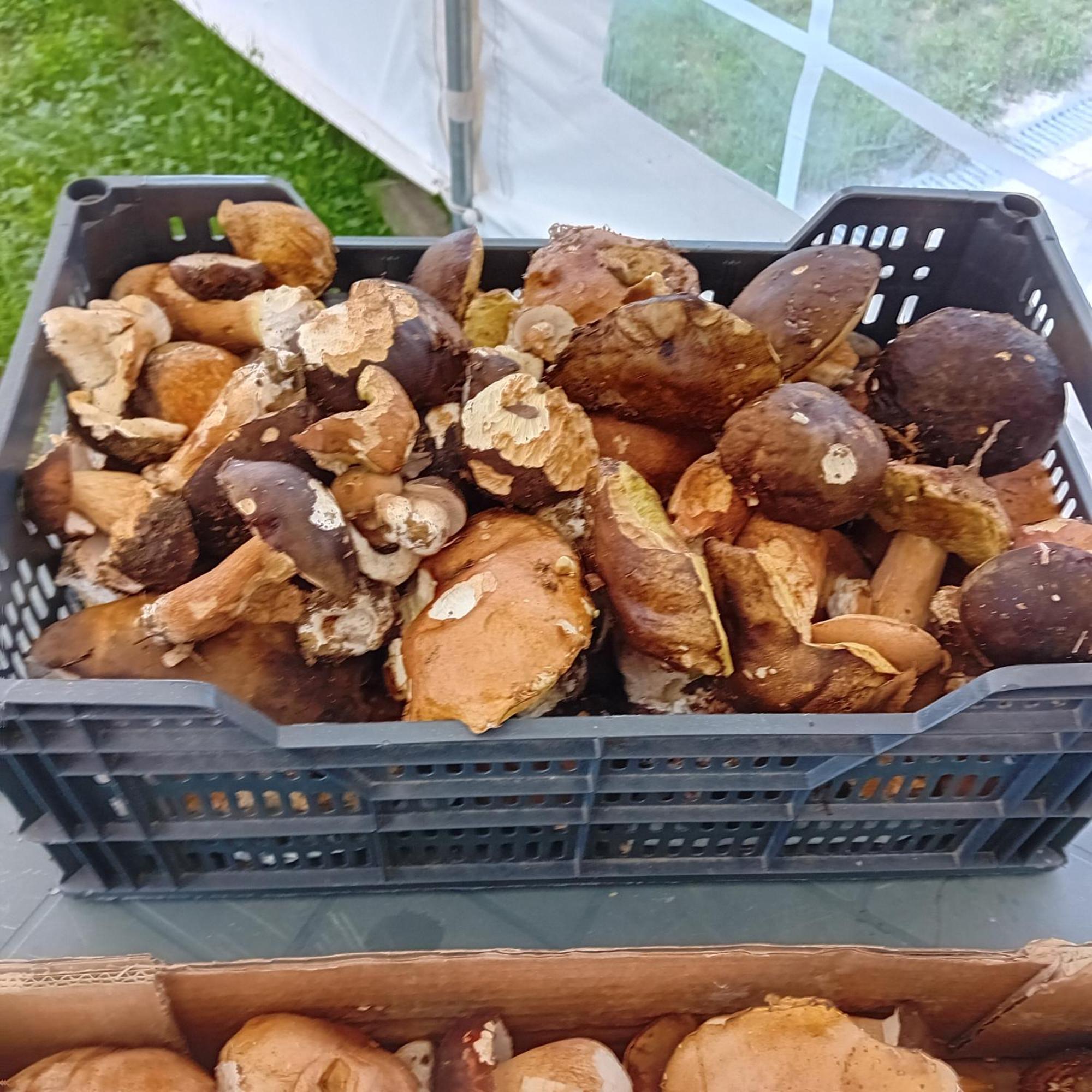Clos A Malypense Chez Mr Montamat Galan Luaran gambar