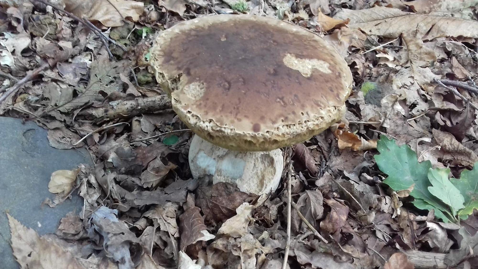 Clos A Malypense Chez Mr Montamat Galan Luaran gambar